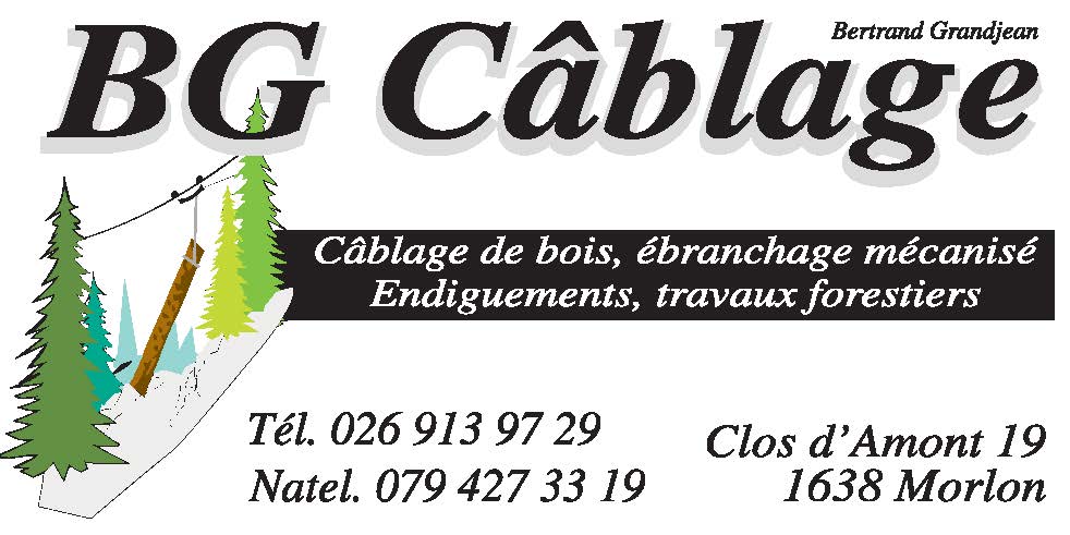 BG_Cablage