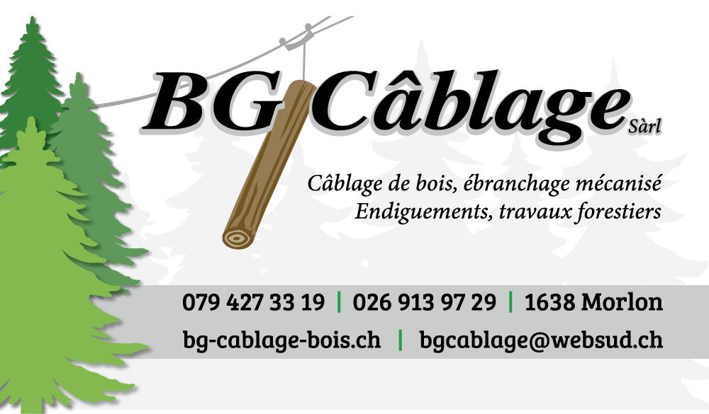 logo BG Cablage